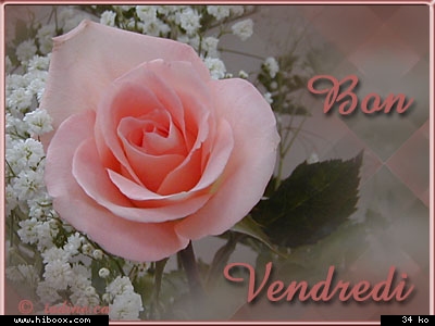 bon vendredi à tous, mes amis!!
